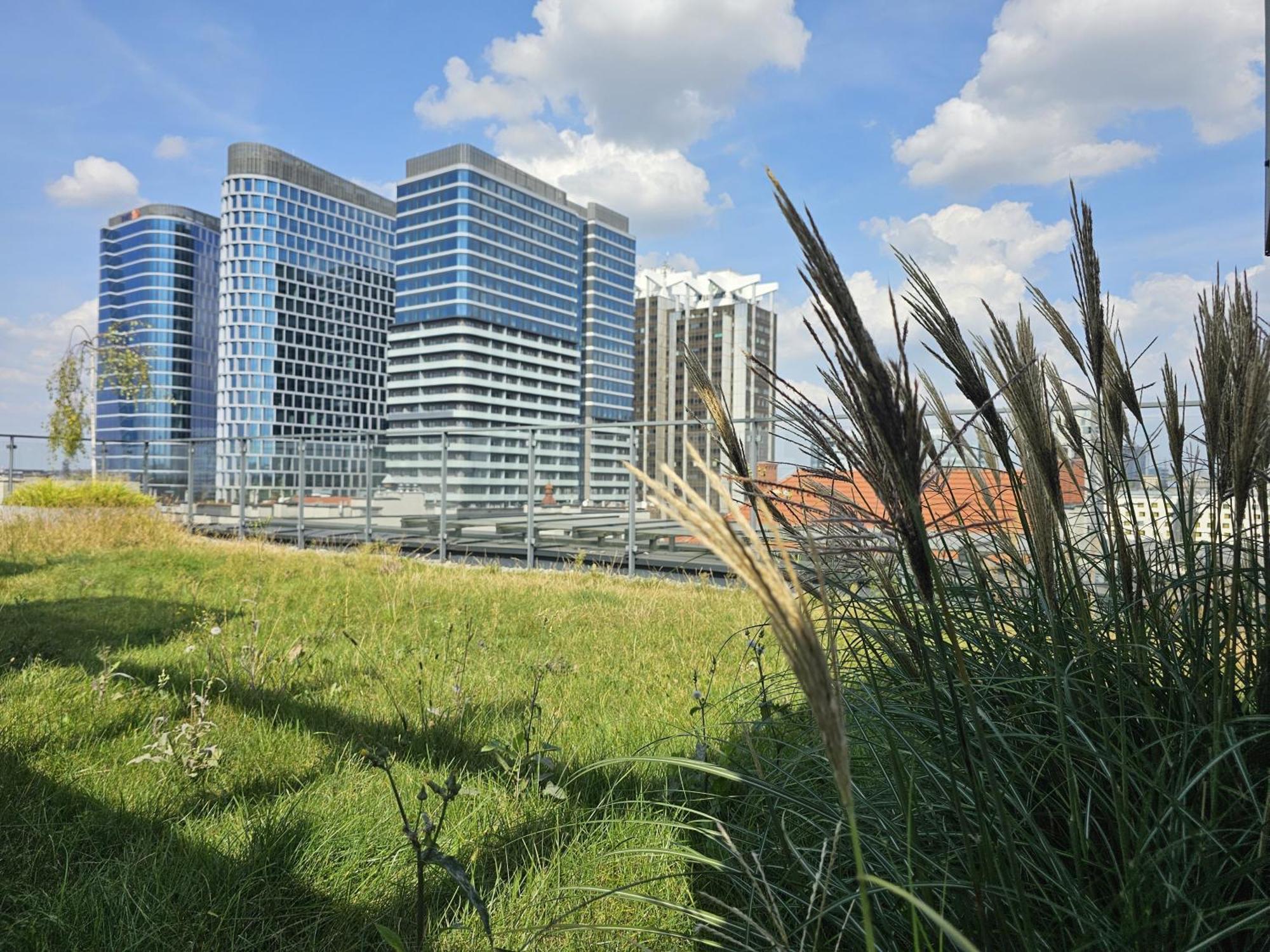 Urban Apartments Premium, Opolska 10 No 21, Free Garage, Self Check-In Katowice Exterior photo